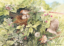 Load image into Gallery viewer, Hidden Nest | 1000 Piece