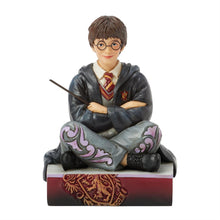 Load image into Gallery viewer, Harry Potter with Wand