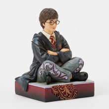 Load image into Gallery viewer, Harry Potter with Wand