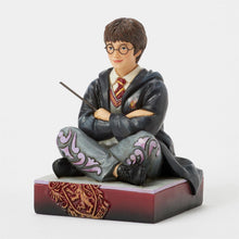 Load image into Gallery viewer, Harry Potter with Wand