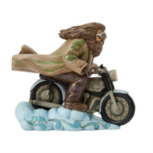 Load image into Gallery viewer, Hagrid on Bike