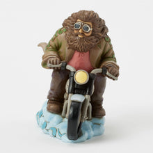 Load image into Gallery viewer, Hagrid on Bike