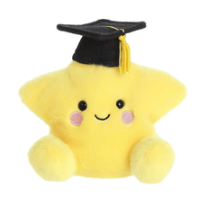 Load image into Gallery viewer, Palm Pals™ Magna Grad Star
