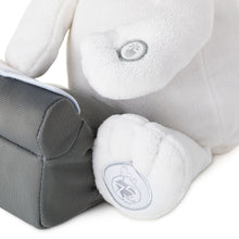 Load image into Gallery viewer, NEW- Peanuts® 75th Anniversary Snoopy With Typewriter Musical Plush With Motion, 10"