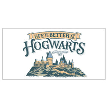 Load image into Gallery viewer, Harry Potter™ Hogwarts™ Collectible Drinking Glass, 13.5 oz.