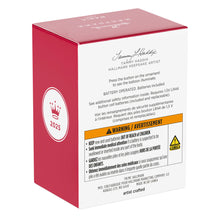 Load image into Gallery viewer, Disney Winnie the Pooh Up for Adventure Ornament With Light