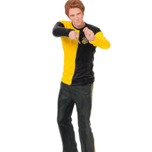 Load image into Gallery viewer, LIMITED QUANTITY - Harry Potter Cedric Diggory Keepsake Ornament