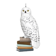 Load image into Gallery viewer, TEMPORARILY SOLD OUT Mini - . Hedwig™ Harry Potter™