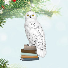 Load image into Gallery viewer, TEMPORARILY SOLD OUT Mini - . Hedwig™ Harry Potter™