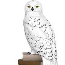 Load image into Gallery viewer, TEMPORARILY SOLD OUT Mini - . Hedwig™ Harry Potter™