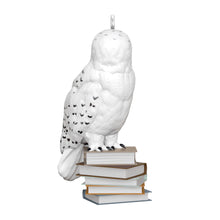Load image into Gallery viewer, TEMPORARILY SOLD OUT Mini - . Hedwig™ Harry Potter™