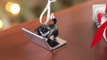 Load and play video in Gallery viewer, Mischievous Kittens - 27th in the series