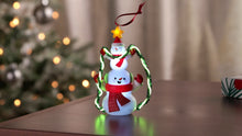 Load and play video in Gallery viewer, Light It Up! Ornament With Light