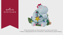 Load and play video in Gallery viewer, Want a Hippopotamus for Christmas