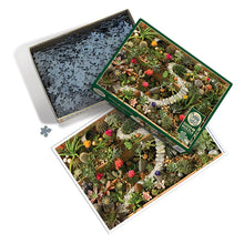 Load image into Gallery viewer, Succulent Garden | 1000 Piece
