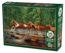 Load image into Gallery viewer, Spring Creek Run | 1000 Piece
