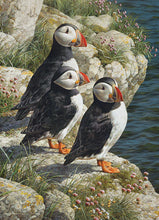 Load image into Gallery viewer, Fisherman&#39;s Wharf | 500 Piece
