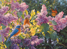 Load image into Gallery viewer, Spring Interlude | 500 Piece

