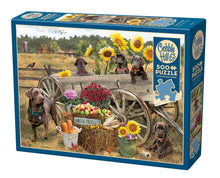Load image into Gallery viewer, Choc Wagon | 500 Piece
