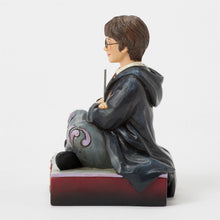 Load image into Gallery viewer, Harry Potter with Wand
