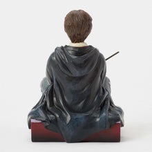 Load image into Gallery viewer, Harry Potter with Wand
