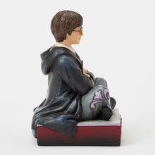 Load image into Gallery viewer, Harry Potter with Wand
