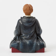 Load image into Gallery viewer, Ron with Scabbers
