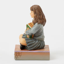 Load image into Gallery viewer, Hermione with Book
