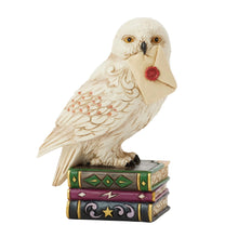 Load image into Gallery viewer, Hedwig Mini
