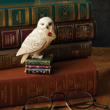 Load image into Gallery viewer, Hedwig Mini
