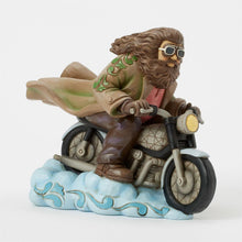 Load image into Gallery viewer, Hagrid on Bike
