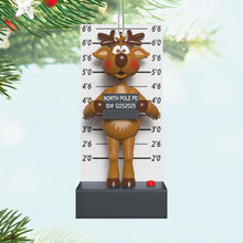 Load image into Gallery viewer, Grandma Got Run Over By a Reindeer Musical Ornament
