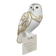 Load image into Gallery viewer, Harry Potter™ Hedwig™ With Letter Ornament

