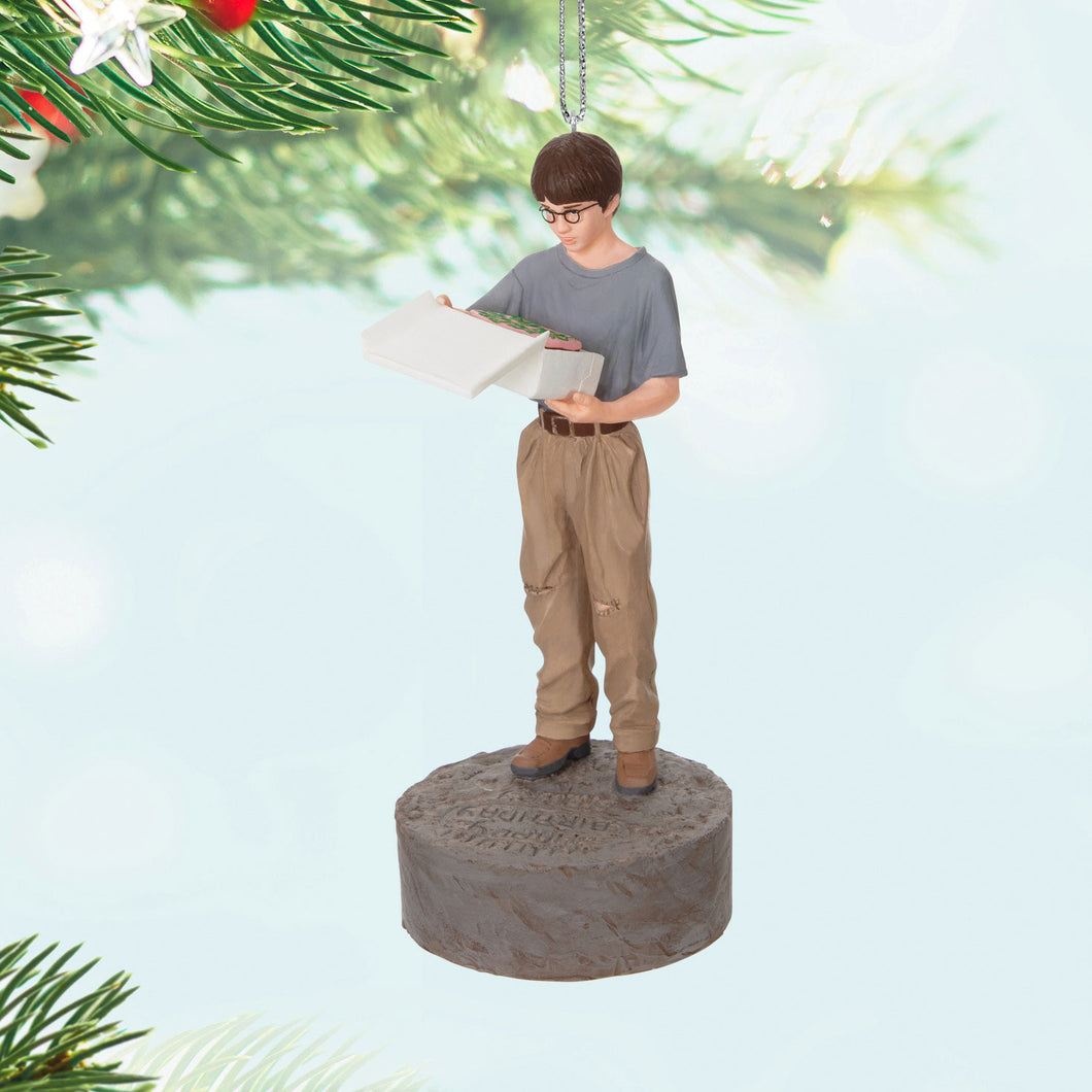 Harry Potter™ Happee Birthdae Harry Ornament With Sound