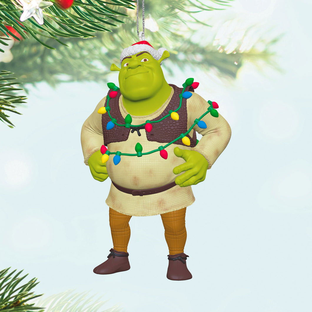 Shrek And To All a Gross Night