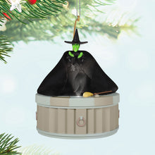 Load image into Gallery viewer, The Wizard of Oz™ I&#39;m Melting! I&#39;m Melting! Ornament With Light, Sound and Motion
