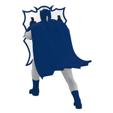 Load image into Gallery viewer, Batman™ The Classic TV Series Behind the Bat-Shield™

