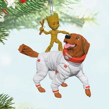 Load image into Gallery viewer, Marvel Guardians of the Galaxy Groot and Cosmo
