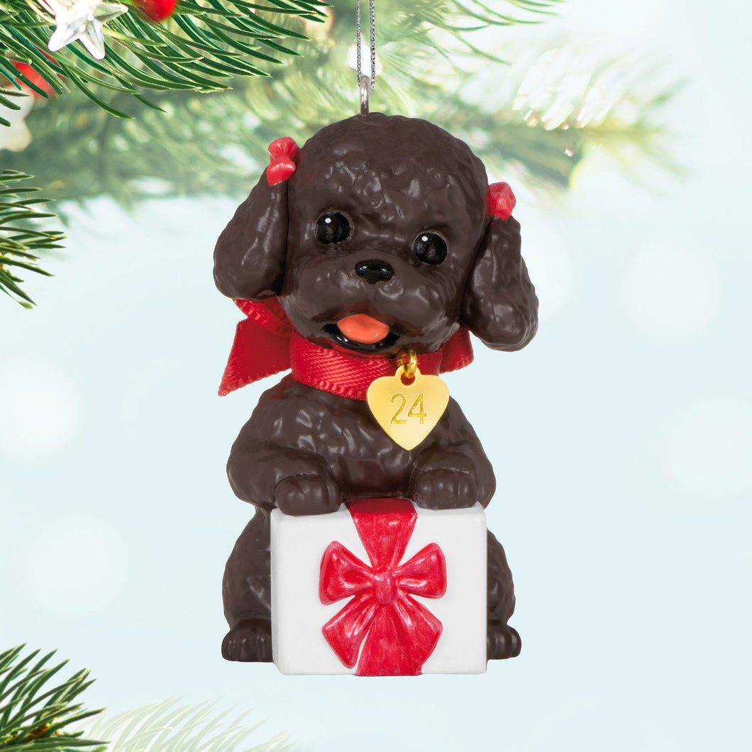 Puppy Love Poodle 2024 Ornament - 34th in the Puppy Love Keepsake Series