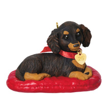 Load image into Gallery viewer, Long-Haired Dachshund - 35th in the Puppy Love series

