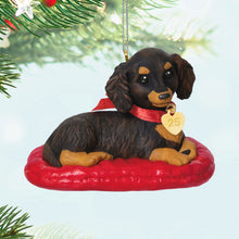 Load image into Gallery viewer, Long-Haired Dachshund - 35th in the Puppy Love series
