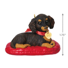 Load image into Gallery viewer, Long-Haired Dachshund - 35th in the Puppy Love series
