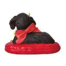 Load image into Gallery viewer, Long-Haired Dachshund - 35th in the Puppy Love series
