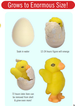 Load image into Gallery viewer, Aurora® Toys - 2.25" Hatch &amp; Grow Chick
