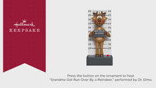 Load and play video in Gallery viewer, Grandma Got Run Over By a Reindeer Musical Ornament
