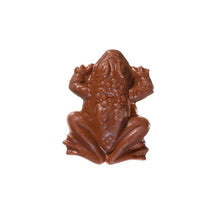 Load image into Gallery viewer, Harry Potter™ Chocolate Frog 15g
