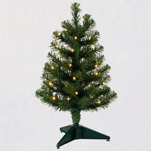 Load image into Gallery viewer, Miniature Evergreen Pre-Lit Christmas Tree, 18.75&quot;
